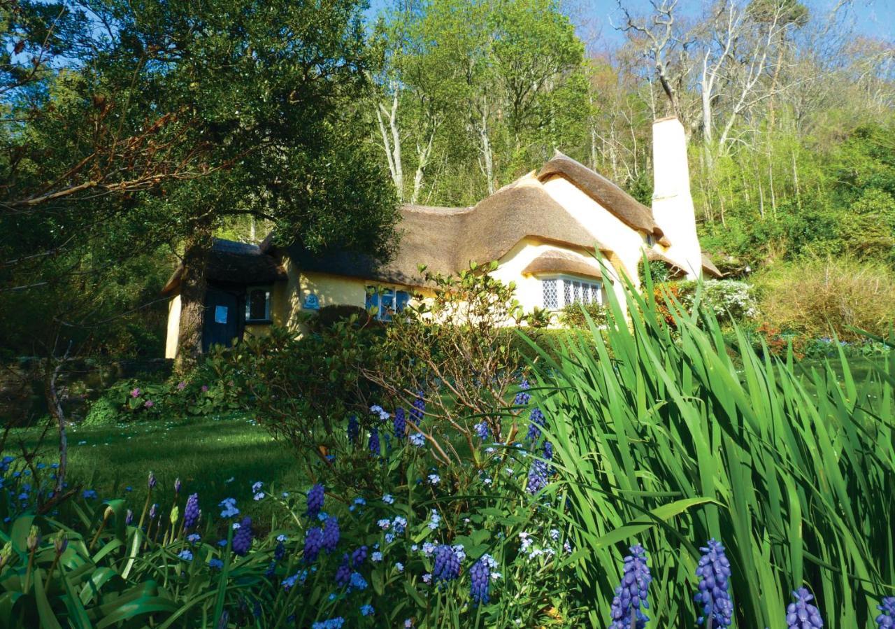 Southcliffe B&B Lynton Exterior foto